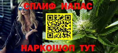 прущие грибы Комсомольск-на-Амуре