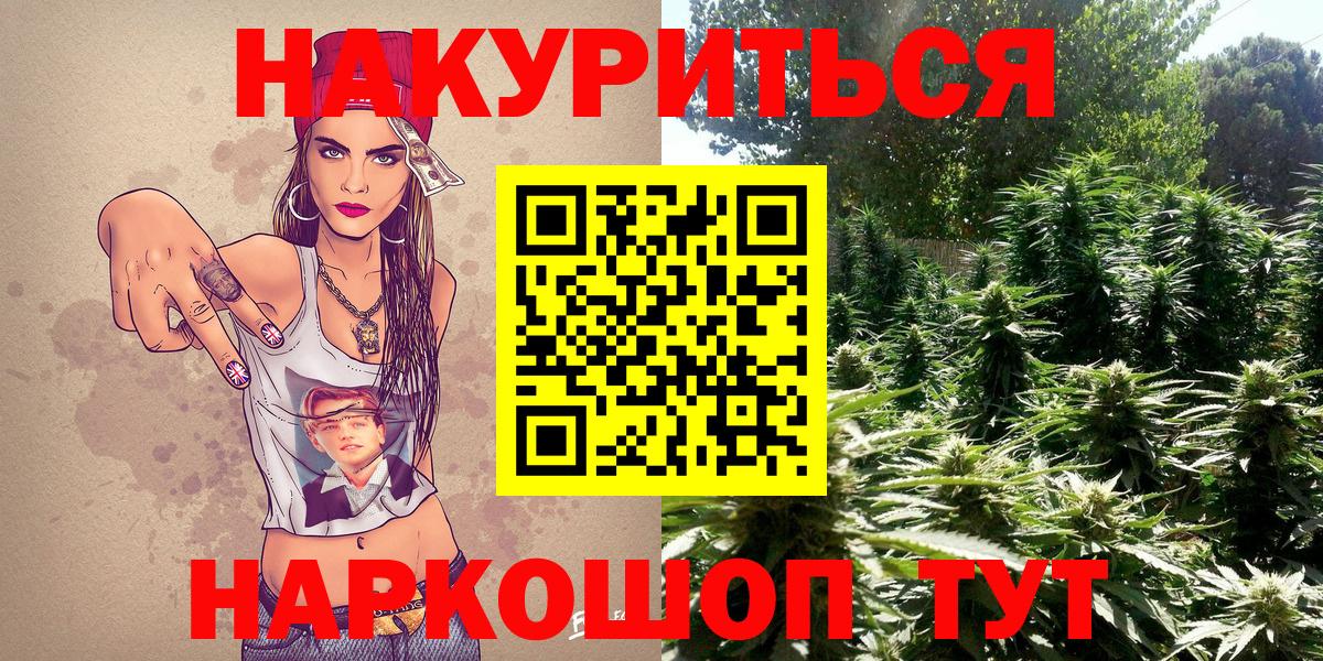 Конопля план  Вход с VPN  Канабис тримм  Чита 